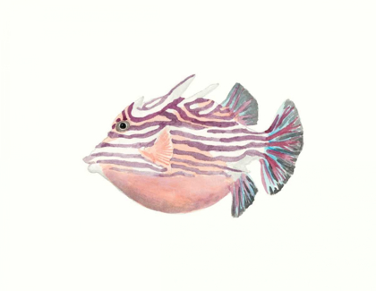 Picture of WATERCOLOR TROPICAL FISH II