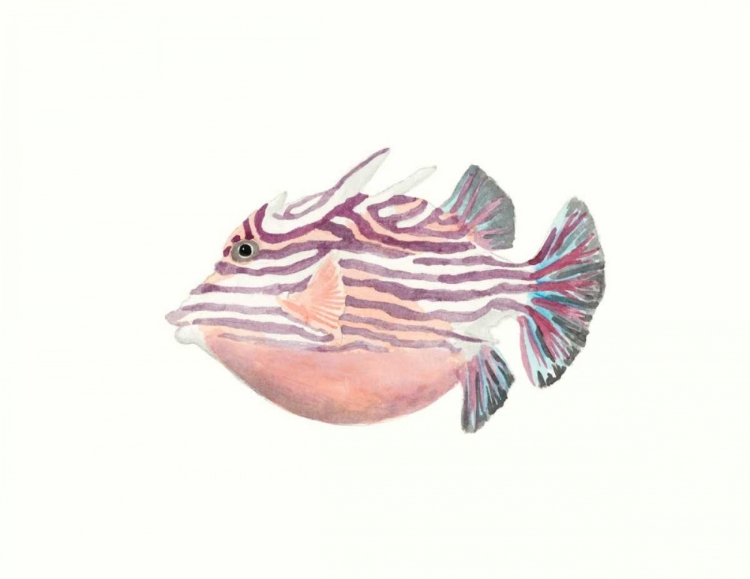 Picture of WATERCOLOR TROPICAL FISH II