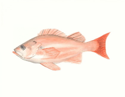 Picture of WATERCOLOR DEEP SEA FISH I