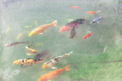 Picture of KOI REFLECTIONS I