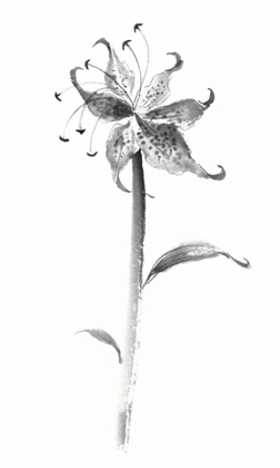 Picture of INK TIGER LILY