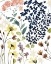 Picture of FLOWER COMPOSITION II