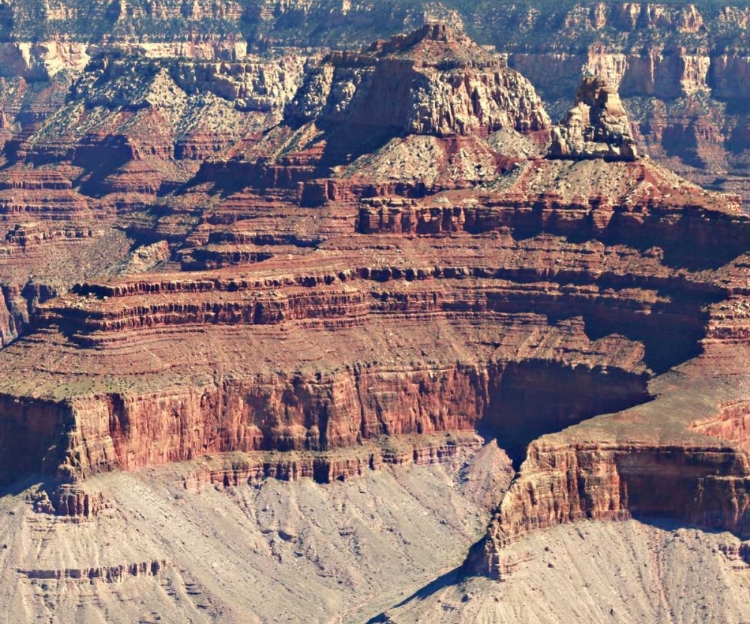 Picture of GRAND CANYON 1