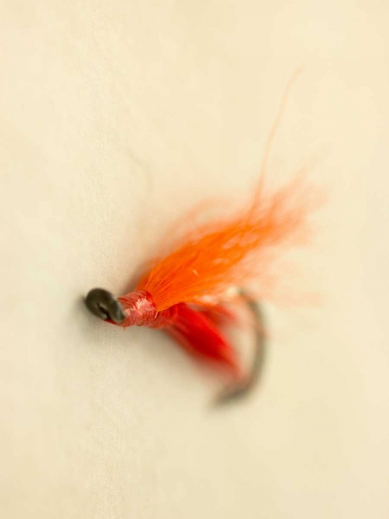 Picture of MACRO LURE II