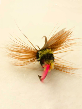 Picture of MACRO LURE IV