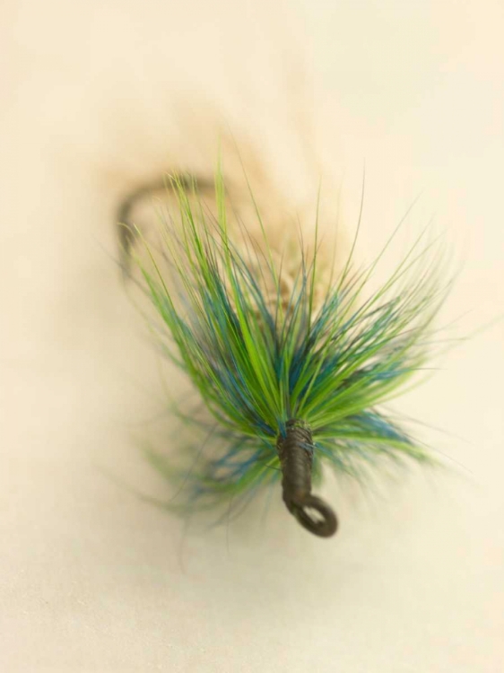 Picture of MACRO LURE VI