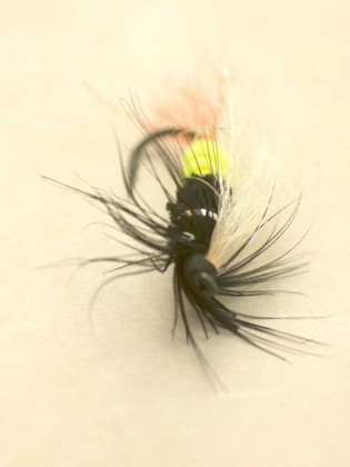 Picture of MACRO LURE VII