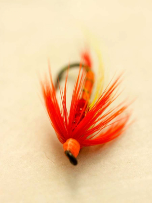 Picture of MACRO LURE VIII