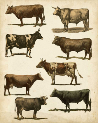 Picture of ANTIQUE COW CHART