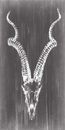 Picture of ELONGATED MOUNT I