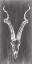 Picture of ELONGATED MOUNT I