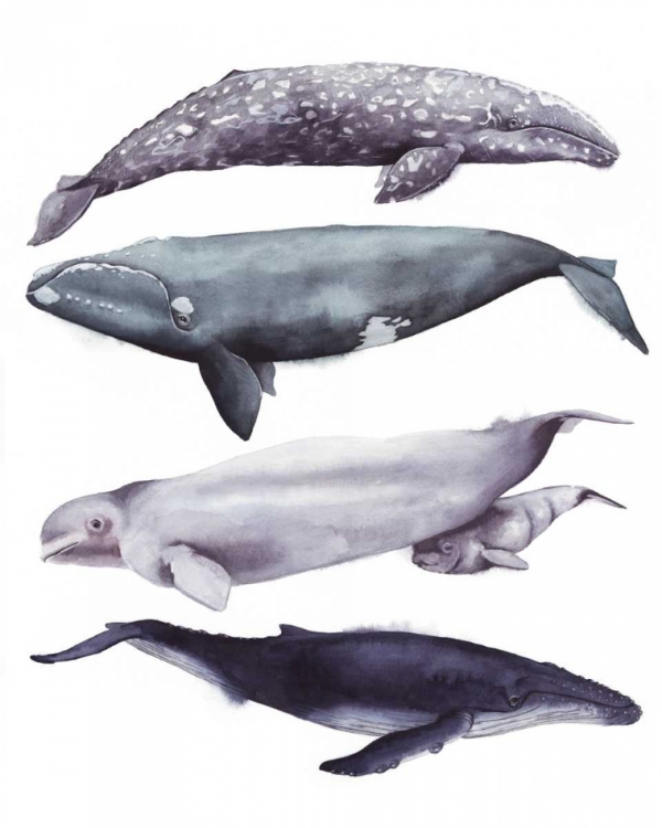 Picture of WHALE STACK I