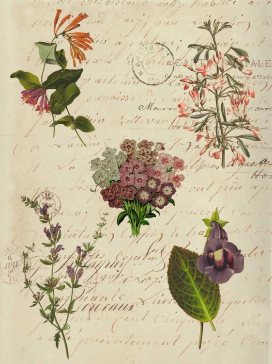 Picture of POSTSCRIPT FLOWER CHART I