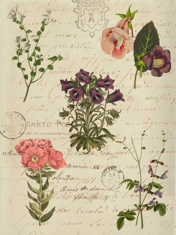 Picture of POSTSCRIPT FLOWER CHART II