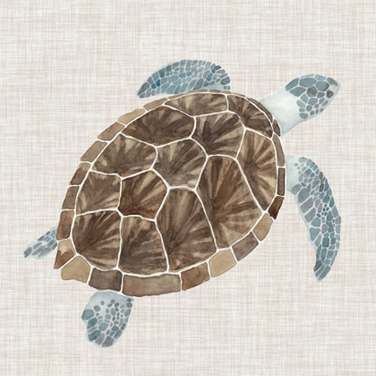 Picture of SEA TURTLE I