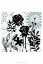 Picture of FLORAL MIST I