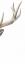Picture of TRIPTYCH ELK III