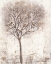 Picture of TREE OF BIRDS II