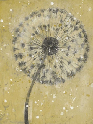 Picture of DANDELION ABSTRACT I