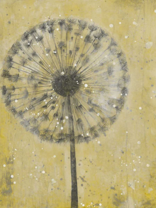 Picture of DANDELION ABSTRACT II