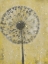 Picture of DANDELION ABSTRACT II