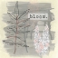 Picture of GARDEN SCRAPBOOK III