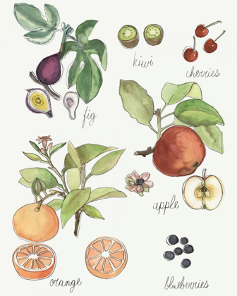 Picture of FRUIT MEDLEY I