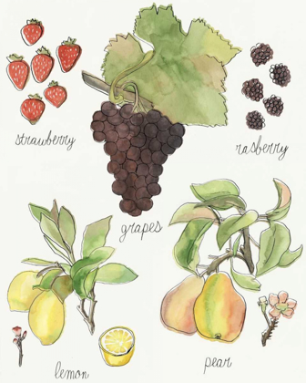 Picture of FRUIT MEDLEY II