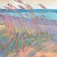 Picture of DUNES AT DUSK I