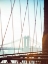 Picture of NYC STROLL II