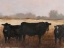 Picture of BLACK COWS I