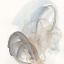 Picture of INFERENCE VI