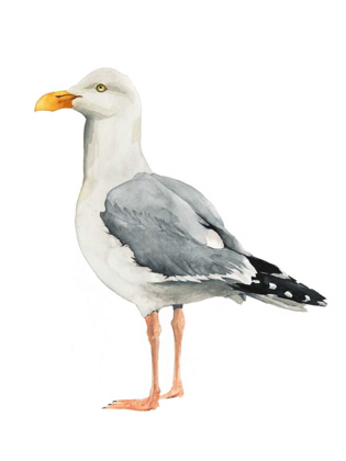 Picture of SEA BIRD II