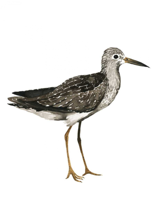 Picture of SEA BIRD III