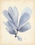 Picture of WATERCOLOR SEA GRASS II