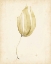 Picture of WATERCOLOR SEA GRASS III