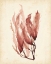 Picture of WATERCOLOR SEA GRASS IV