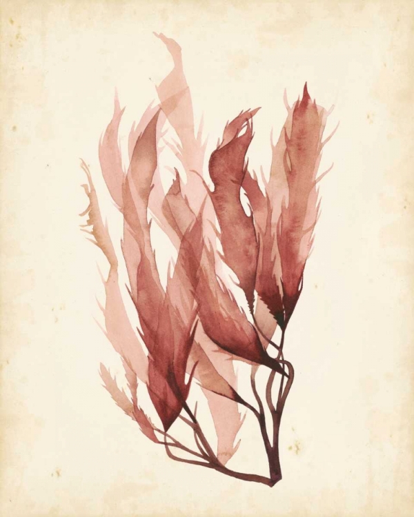 Picture of WATERCOLOR SEA GRASS IV