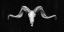 Picture of RUSTIC RAM MOUNT III