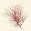 Picture of VIVID ALGAE II