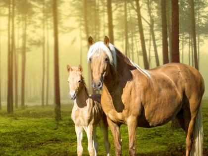 Picture of HORSES IN THE FIELD II
