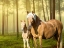 Picture of HORSES IN THE FIELD II
