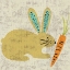 Picture of ADAS BUNNY