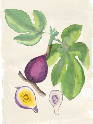 Picture of WATERCOLOR FRUIT I
