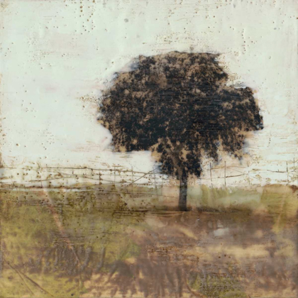 Picture of TREE IN THE MEADOW I