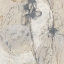 Picture of IMPASTO GESTURE III