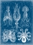 Picture of MARINE BLUEPRINT V