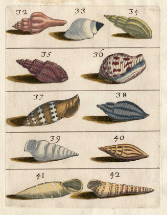 Picture of SHELL COLLECTION V