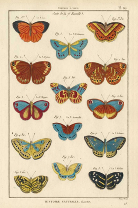 Picture of HISTOIRE NATURELLE BUTTERFLIES I