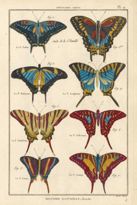 Picture of HISTOIRE NATURELLE BUTTERFLIES VI